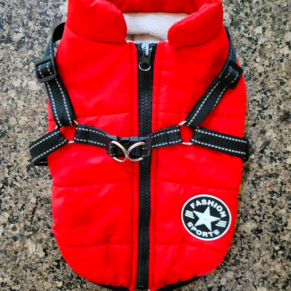 Pet jacket with harness
